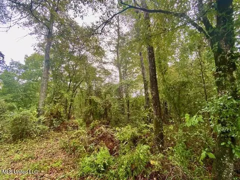 Dogwood Trail, Mccomb, MS 39648 photo 2