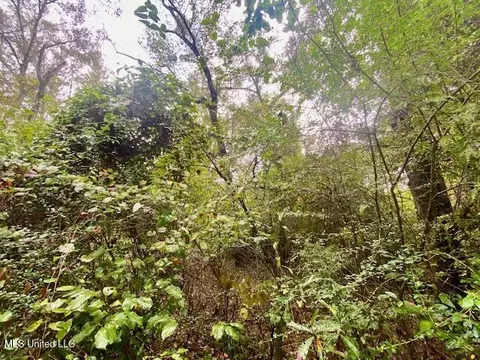 Dogwood Trail, Mccomb, MS 39648 photo 3