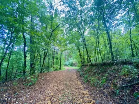 Dogwood Trail, Mccomb, MS 39648 photo 7