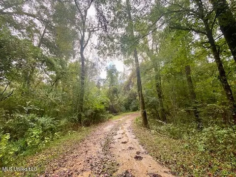 Dogwood Trail, Mccomb, MS 39648 photo 6