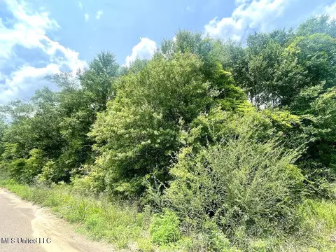 No Theodore Drive, Poplarville, MS 39470