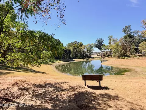 View/Area - 3621 Hatton Dr, Nesbit, MS 38651 photo 3 of 3