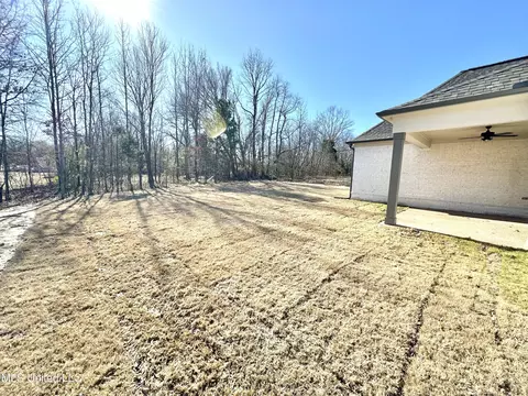 Exterior - 3621 Hatton Dr, Nesbit, MS 38651 photo 2 of 8