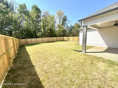 Exterior - 3621 Hatton Dr, Nesbit, MS 38651 photo 7 of 8
