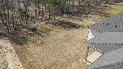 Exterior - 3621 Hatton Dr, Nesbit, MS 38651 photo 6 of 8