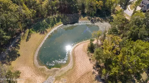 View/Area - 3621 Hatton Dr, Nesbit, MS 38651 photo 2 of 3