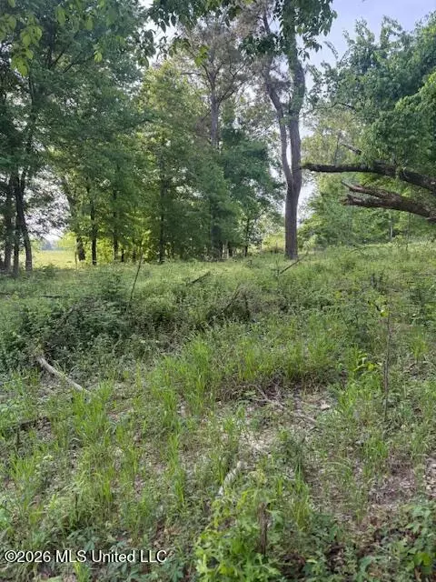 lot1 Slocum Rd, Hernando, MS 38632 photo 4