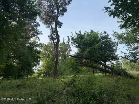 lot1 Slocum Rd, Hernando, MS 38632 photo 3