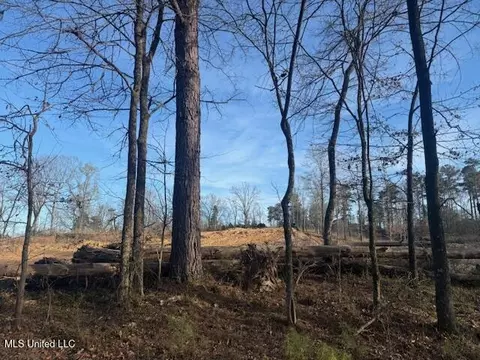 lot1 Slocum Rd, Hernando, MS 38632