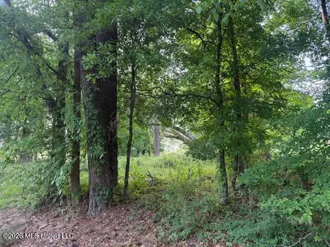 lot1 Slocum Rd, Hernando, MS 38632 photo 5