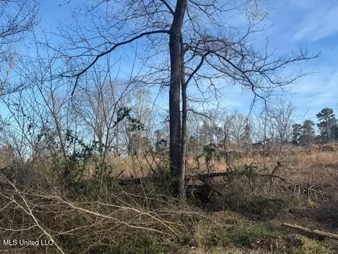 lot1 Slocum Rd, Hernando, MS 38632 photo 3