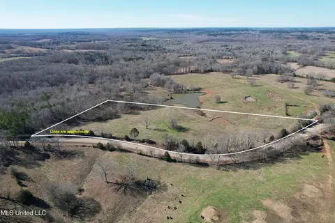 349 Highway Hwy, Potts Camp, MS 38659