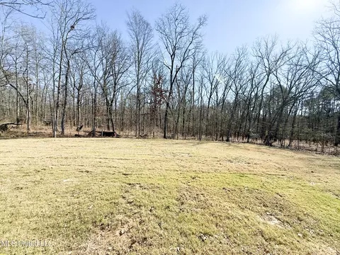 Other - 344 Oakville Cir, Brandon, MS 39047 photo 7 of 7