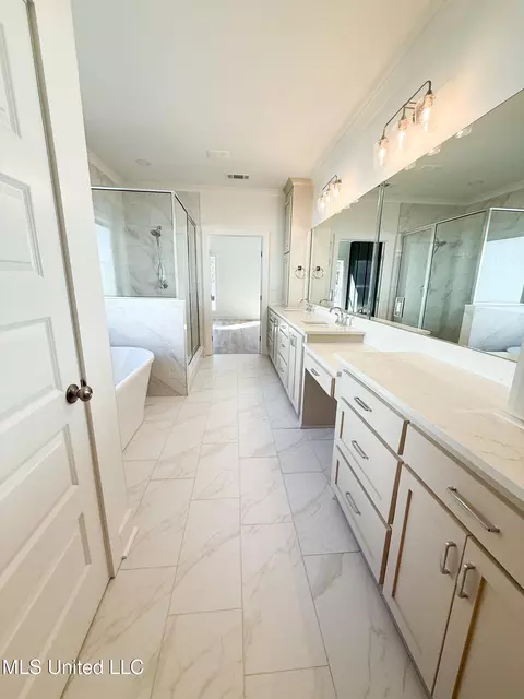 Bath - 344 Oakville Cir, Brandon, MS 39047 photo 1 of 5