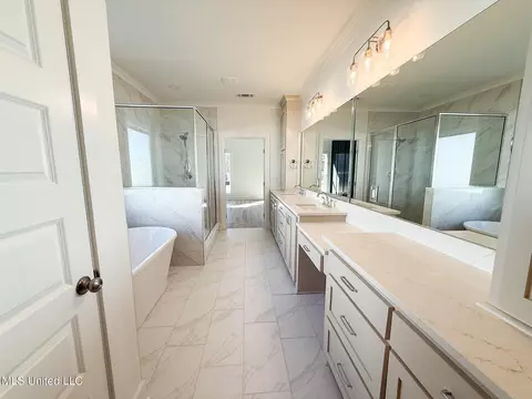Bath - 344 Oakville Cir, Brandon, MS 39047 photo 3 of 5