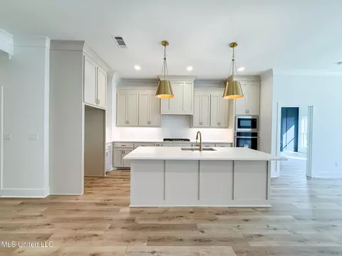 Kitchen - 344 Oakville Cir, Brandon, MS 39047 photo 1 of 1