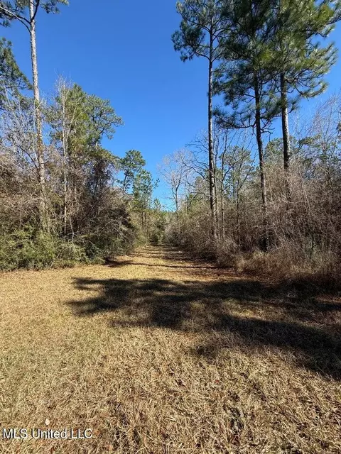 113 Acres Hwy 98, Columbia, MS 39429
