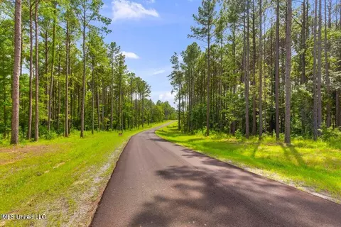 Springwood Trail, Flora, MS 39071 photo 10