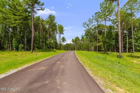 Springwood Trail, Flora, MS 39071 photo 11