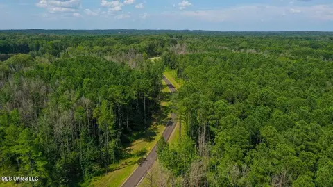 Springwood Trail, Flora, MS 39071 photo 14