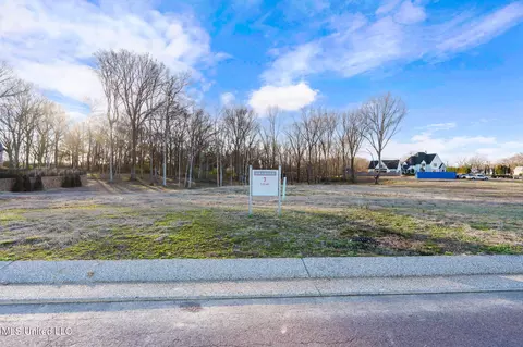 870 Red Cedar Loop, Hernando, MS 38632 photo 3