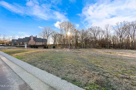 870 Red Cedar Loop, Hernando, MS 38632 photo 4