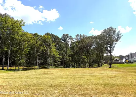870 Red Cedar Loop, Hernando, MS 38632 photo 9