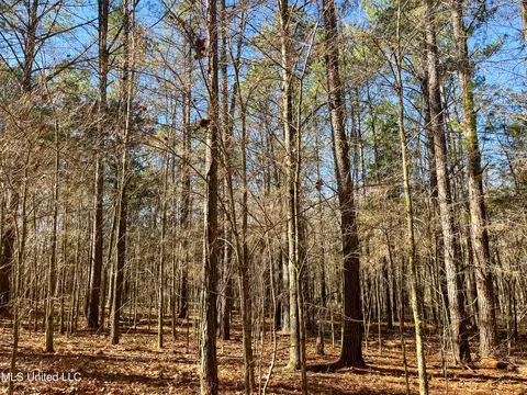 Highway 505, Lawrence, MS 39336 photo 25