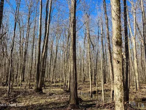 Highway 505, Lawrence, MS 39336 photo 17