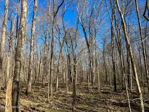 Highway 505, Lawrence, MS 39336 photo 20