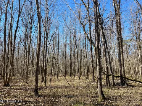 Highway 505, Lawrence, MS 39336 photo 24