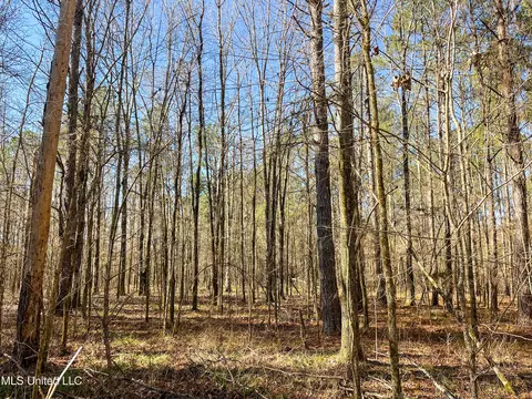 Highway 505, Lawrence, MS 39336 photo 10