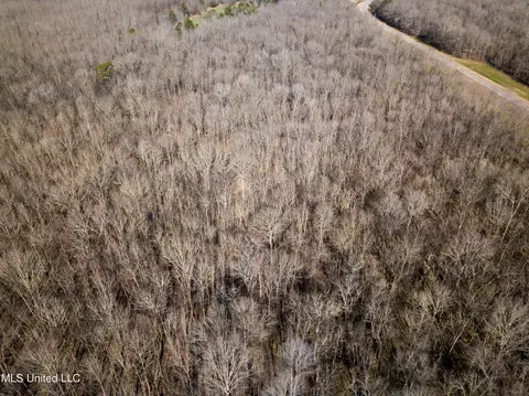 Highway 505, Lawrence, MS 39336 photo 29
