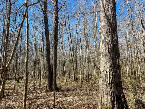 Highway 505, Lawrence, MS 39336 photo 14