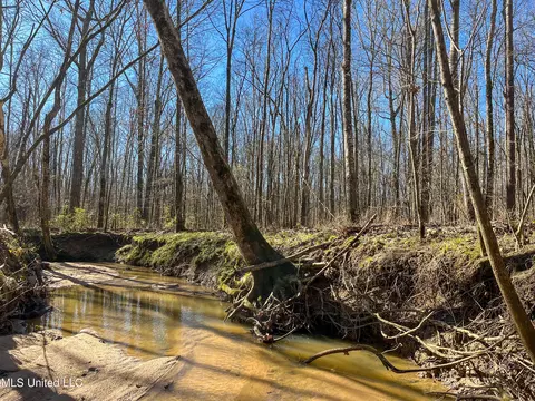 Highway 505, Lawrence, MS 39336 photo 26