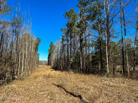 Highway 505, Lawrence, MS 39336 photo 16