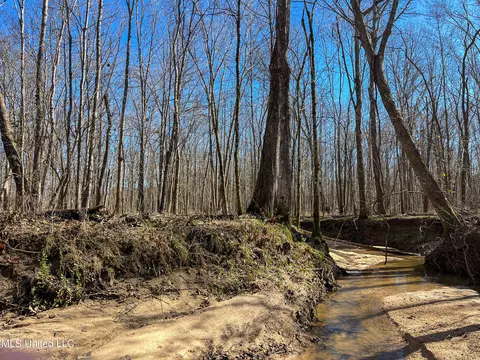 Highway 505, Lawrence, MS 39336 photo 23