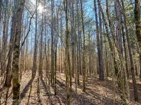 Highway 505, Lawrence, MS 39336 photo 19