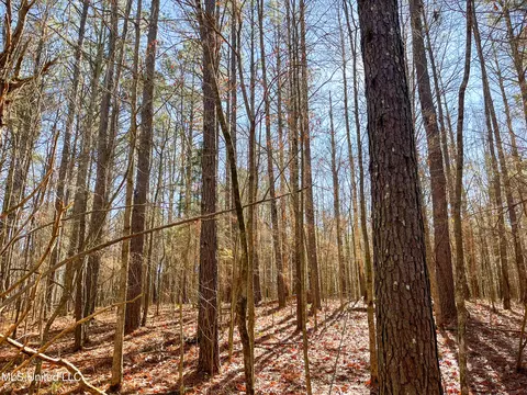 Highway 505, Lawrence, MS 39336 photo 15