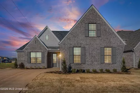 2945 Molly Cv, Nesbit, MS 38651 photo 22