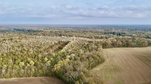 002 Hwy 16, Rolling Fork, MS 39159 photo 3