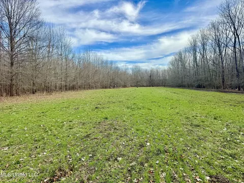 002 Hwy 16, Rolling Fork, MS 39159 photo 12