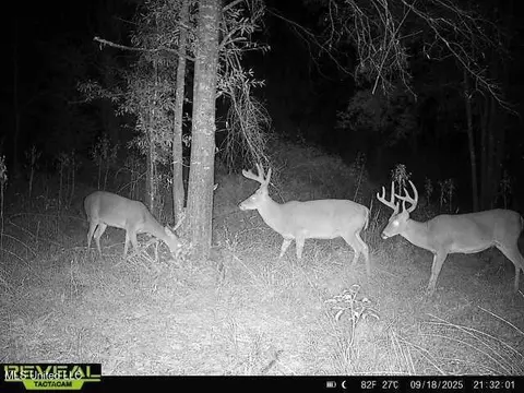 002 Hwy 16, Rolling Fork, MS 39159 photo 18