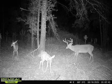 002 Hwy 16, Rolling Fork, MS 39159 photo 4