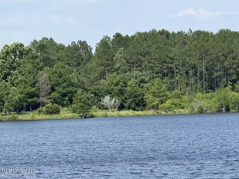 Sunfish Cove, Perkinston, MS 39573 photo 2