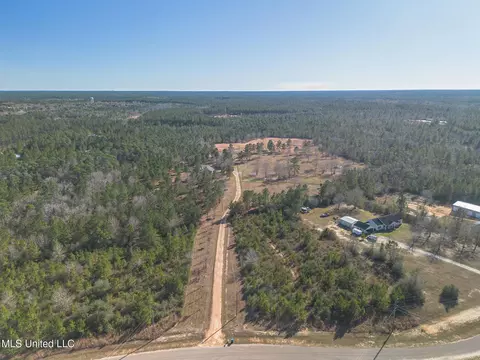 49 Clear Lake Rd, Perkinston, MS 39573 photo 3