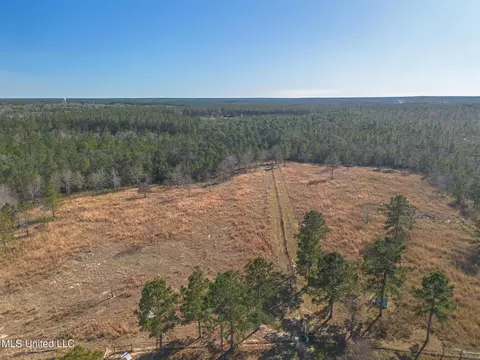 49 Clear Lake Rd, Perkinston, MS 39573 photo 29