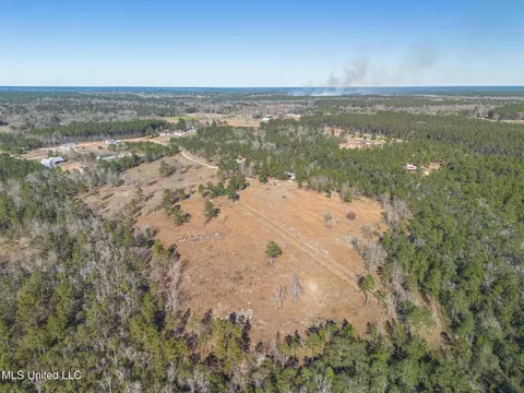 49 Clear Lake Rd, Perkinston, MS 39573 photo 30