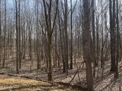 Brownsferry Rd Road, Sarah, MS 38665 photo 3