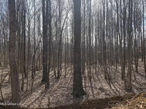 Longtown Road, Sarah, MS 38665 photo 8